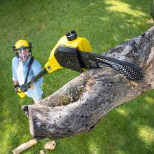 Best Lawn Renovation and Restoration  in Cascade Locks, OR